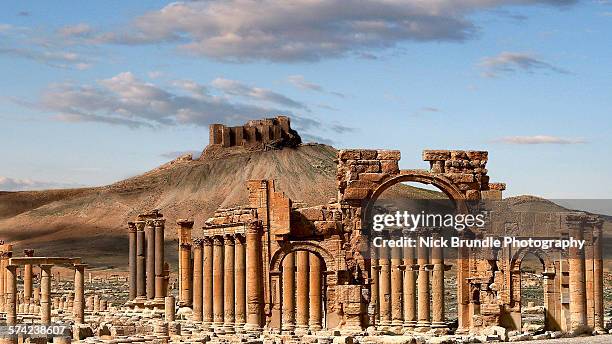 ruins of an ancient city, palmyra, syria - palmyra syria stock pictures, royalty-free photos & images