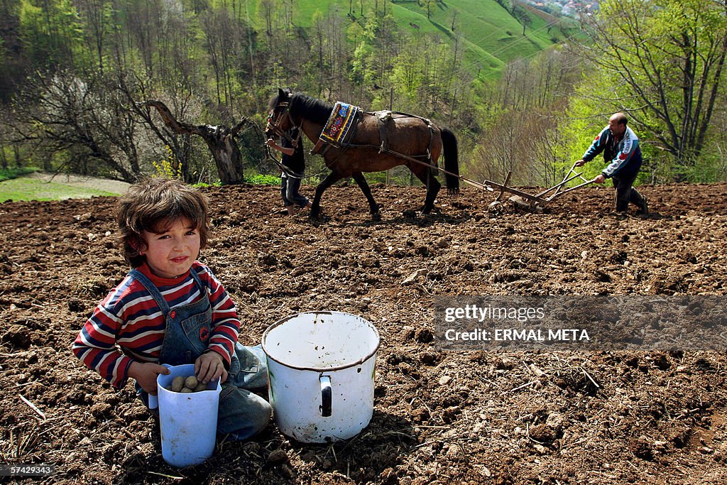 Ethnic Albanians work in their field 26