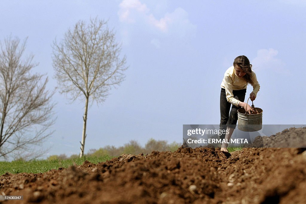An ethnic Albanian girl works at a field