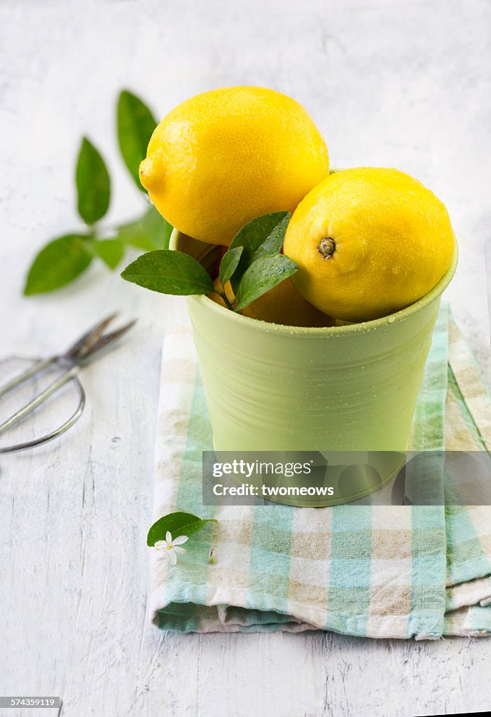 Freshly harvest lemons on white wooden table.