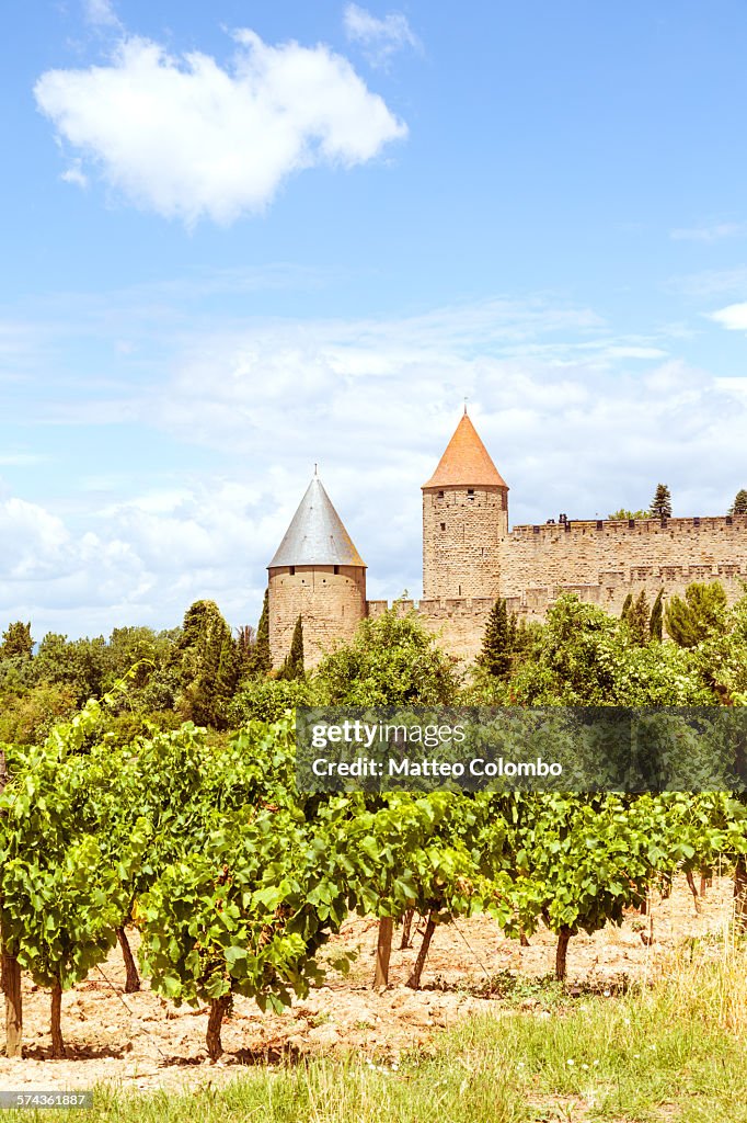 Vineyard and the old city of Carcassonne, France