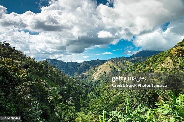 jamaica blue mountains - jamaicano fotografías e imágenes de stock