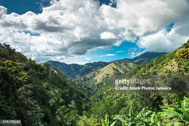 jamaica blue mountains - blue mountain range stock pictures, royalty-free photos & images
