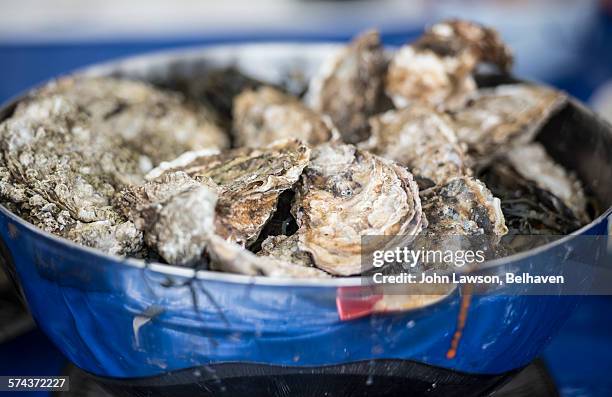 Pyster Shells Scotland 143 Scottish Oysters Stock Photos, High-Res Pictures, and Images ...