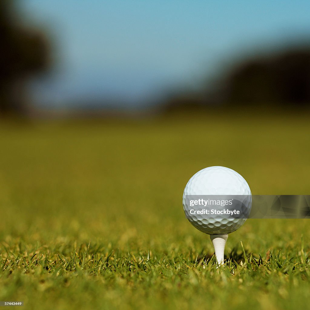 Close-up of a golf ball on a tee