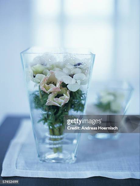 anemones in vase - anemone flower arrangements stock pictures, royalty-free photos & images