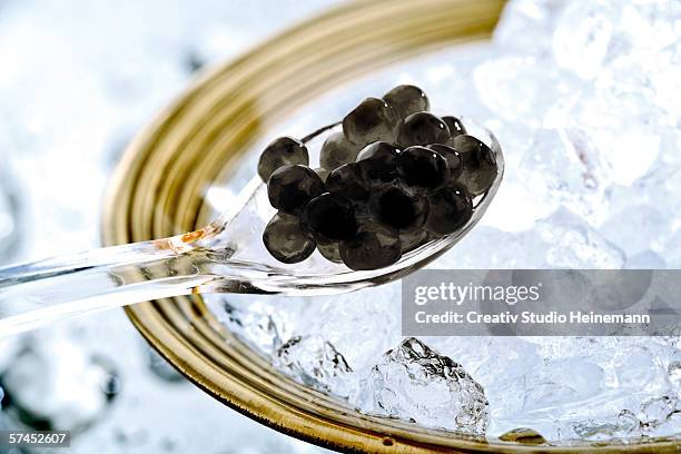 caviar on spoon, close-up - kaviar stock-fotos und bilder