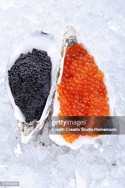 caviar on ice, elevated view - kaviar stock-fotos und bilder