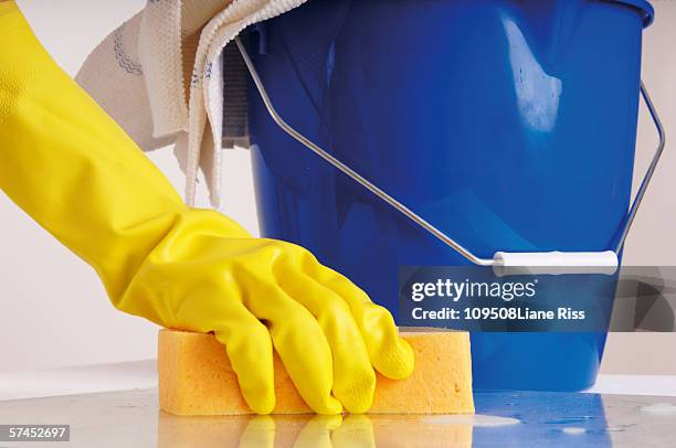 person cleaning with sponge - daily bucket foto e immagini stock