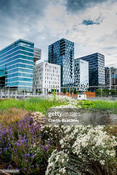 barcode district in oslo, norway - barcode bildbanksfoton och bilder