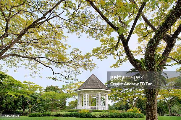 singapore botanic gardens - singapore botanic gardens stock pictures, royalty-free photos & images