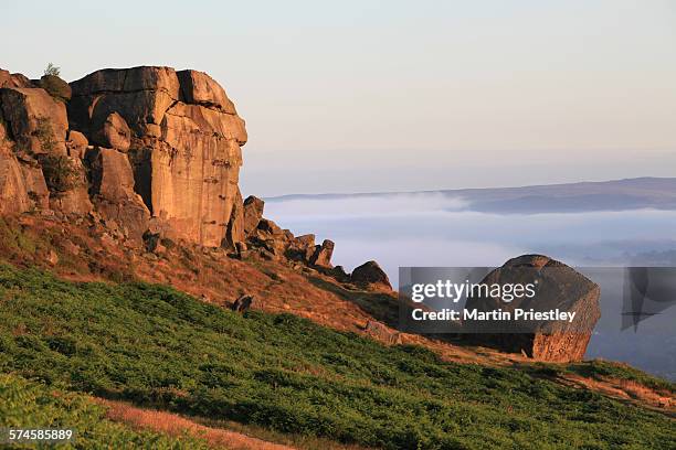 Cow Bug Rocks 229 Cow And Calf Rocks Stock Photos, High-Res Pictures, and Images ...