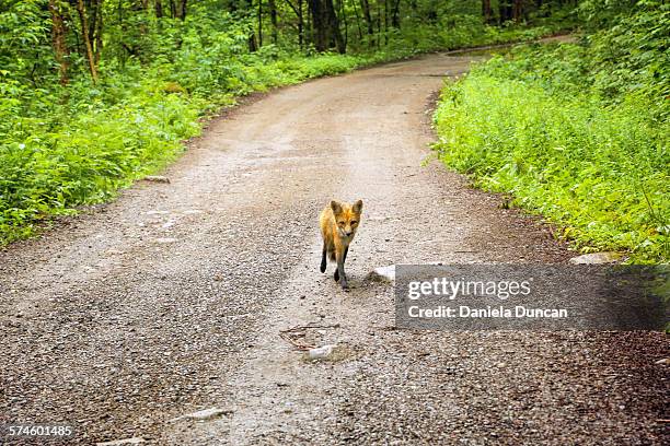 Fox Rd 118 Fox Trail Road Stock Photos, High-Res Pictures, and Images - Getty ...