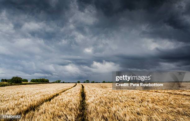 burnham overy staithe - rainstorm - king's lynn stock pictures, royalty-free photos & images