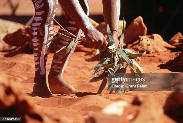 ritual medicine dance - etnia aborigen australiana fotografías e imágenes de stock