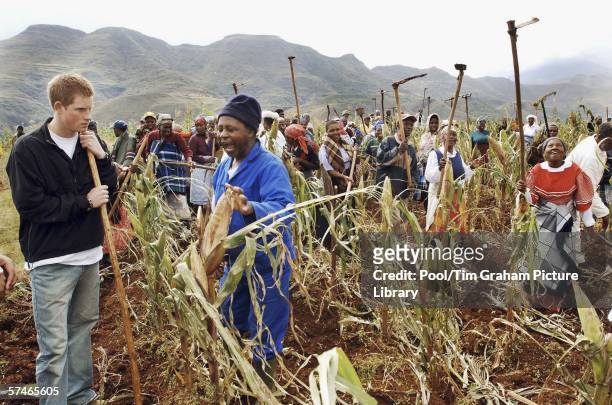 Prince Harry talks to Sello Matlere, as he helps the villagers of Phororong to turn over the ground of their maize fields high in the Northern...