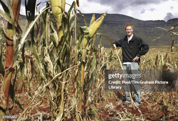 Prince Harry uses a hoe as he helps the villagers of Phororong to turn over the ground of their maize fields high in the Northern Mountains while on...