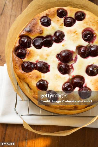 Sponge Cake Rack Sponge Cake Rack Photos and Premium High Res Pictures - Getty Images