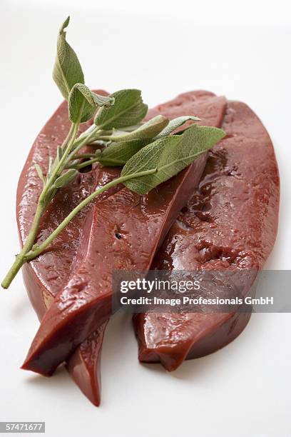 three slices of calf's liver with sage - beef liver stock pictures, royalty-free photos & images