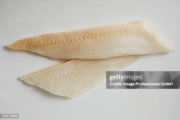 two sole fillets - sole photos et images de collection