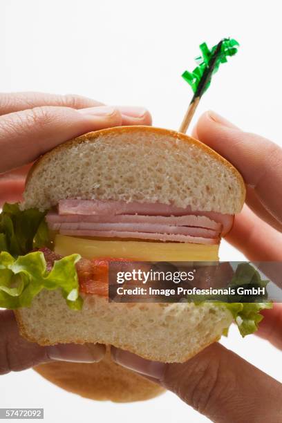 Hand Holding Sub Sandwich Photos and Premium High Res Pictures - Getty ...