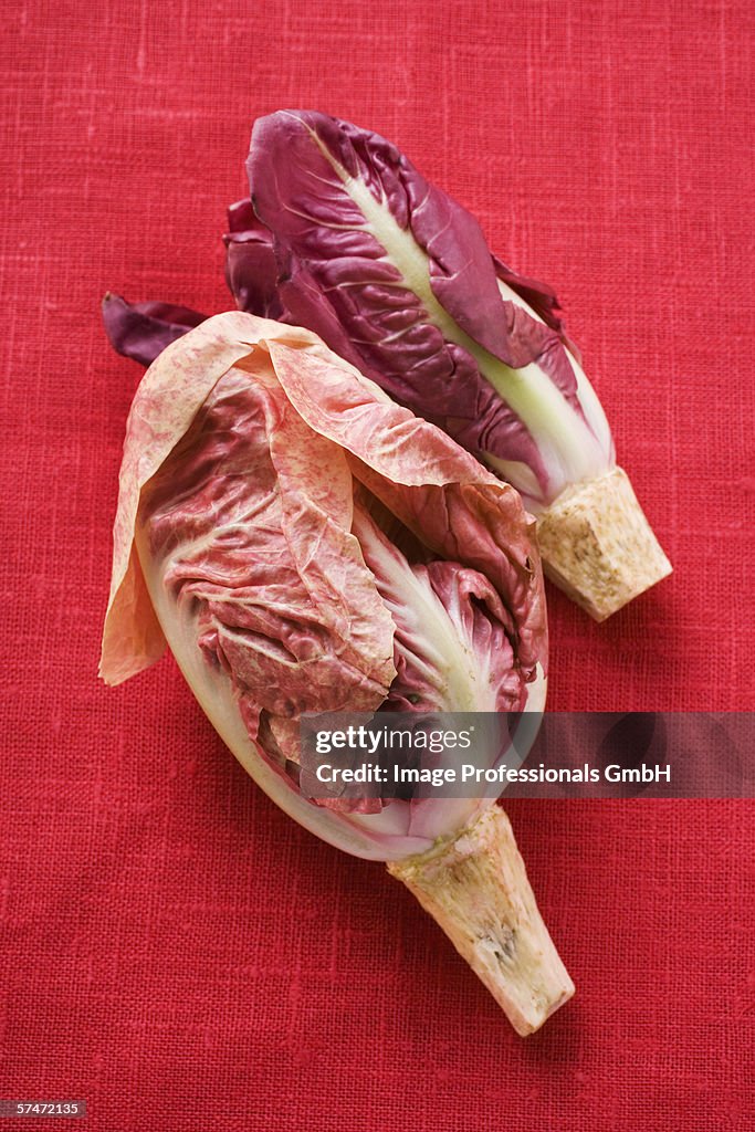 Two different types of radicchio