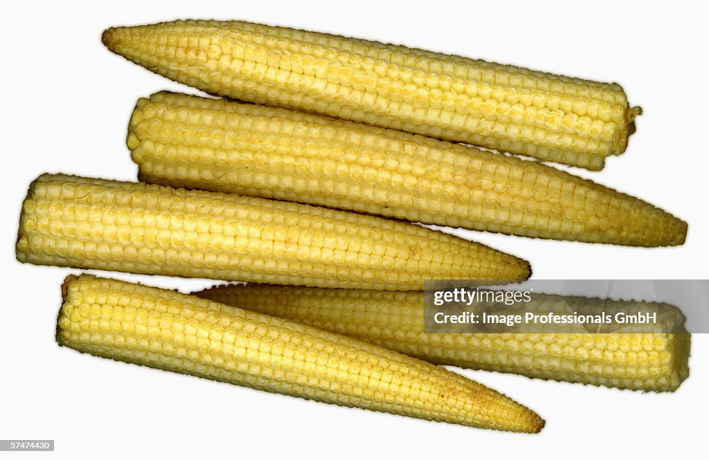 Five small corncobs