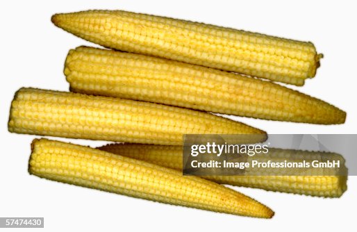 Five small corncobs Five small corncobs