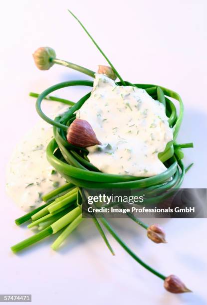 a blob of herb mayonnaise and fresh chives - herb mayonnaise stock pictures, royalty-free photos & images
