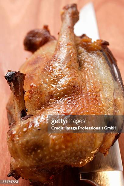 roast pigeon and knife - roast pigeon stock pictures, royalty-free photos & images