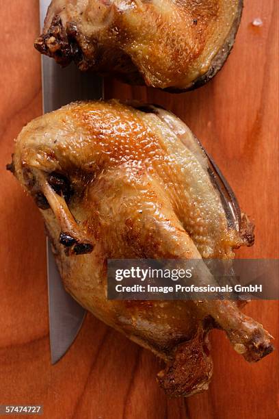 roast pigeon, halved, on knife - roast pigeon stock pictures, royalty-free photos & images