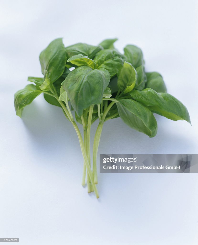 A Bunch Of Basil High-Res Stock Photo - Getty Images