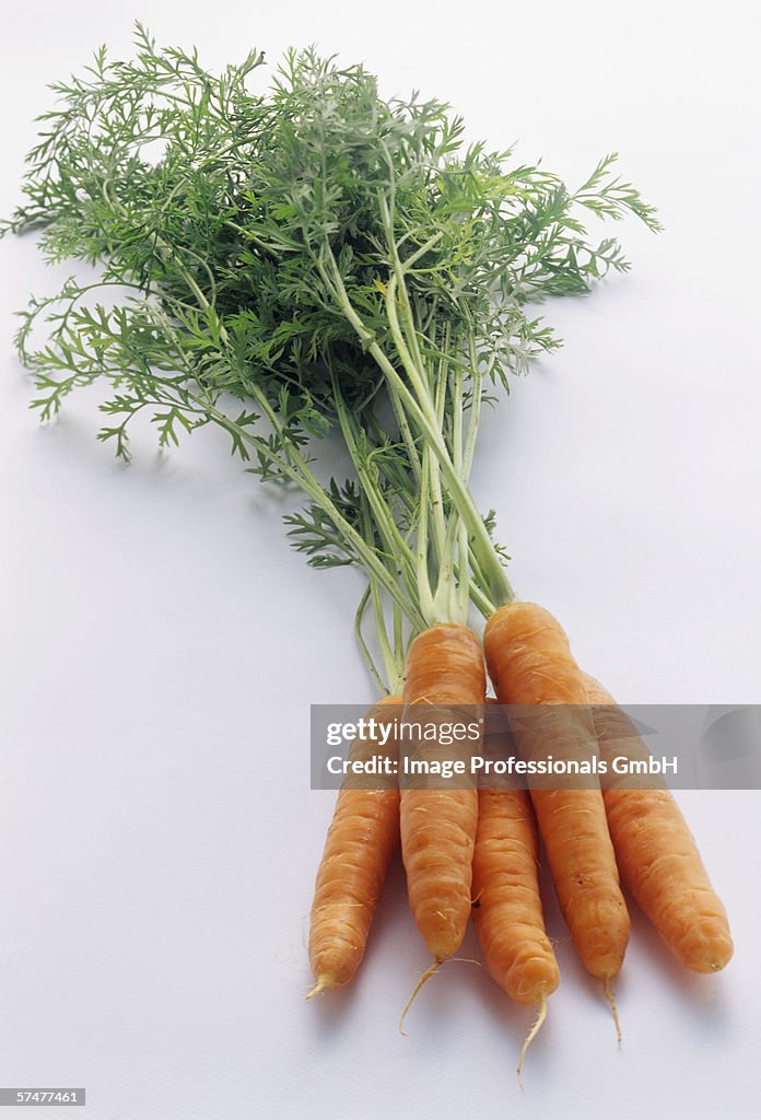 A Bunch of Carrots