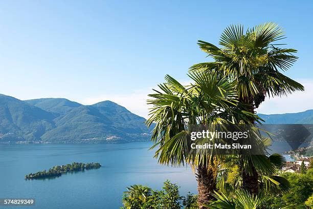 brissago islands and palm trees - tessin stock-fotos und bilder