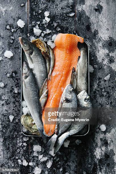 raw fish and oysters in tray - lachs stock-fotos und bilder