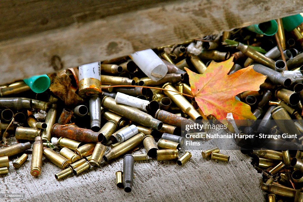 Bullets and leaves