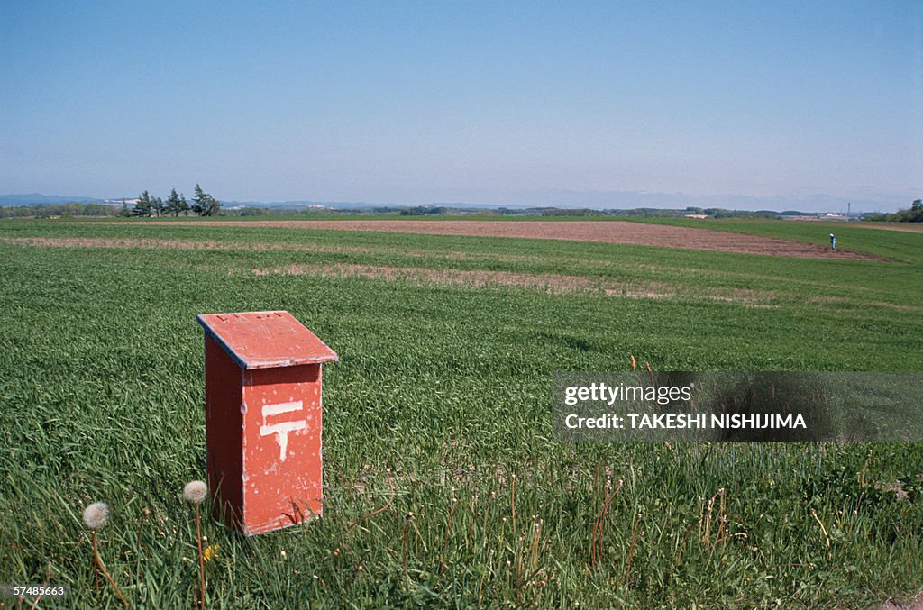Mailbox near field