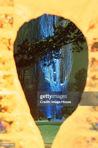 japan, hokkaido, asahikawa, illuminated tree, (asahikawa winter festival) - asahikawa stock-fotos und bilder