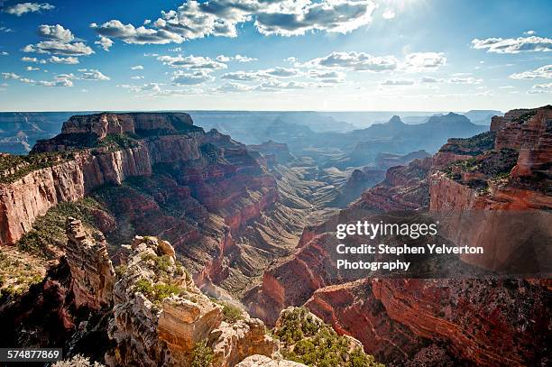 grand canyon (north rim) - cape royal - grand canyon national park stockfoto's en -beelden