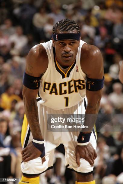 Stephen Jackson of the Indiana Pacers looks on against the Minnesota Timberwolves on April 14, 2006 at Conseco Fieldhouse in Indianapolis, Indiana....