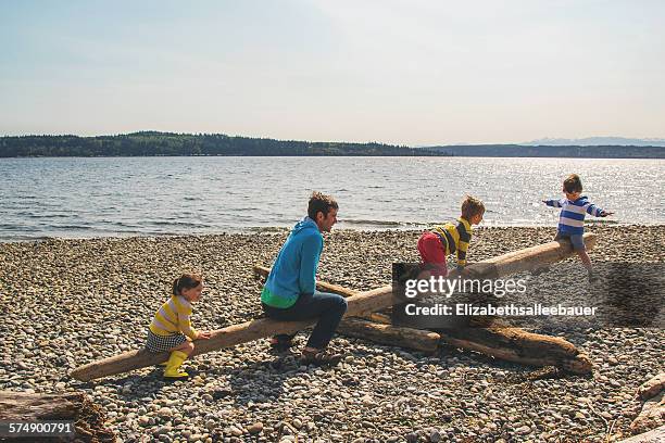 father and three children playing on beach with makeshift seesaw - seesaw foto e immagini stock