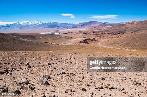 altiplano near copiapo, chile - atacama stock pictures, royalty-free photos & images