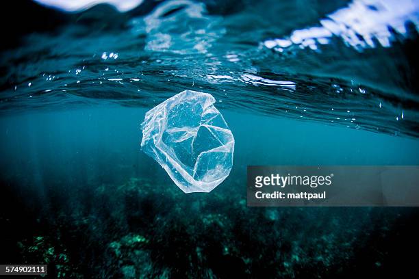 plastic bag floating over reef in the ocean, costa rica - mer photos et images de collection