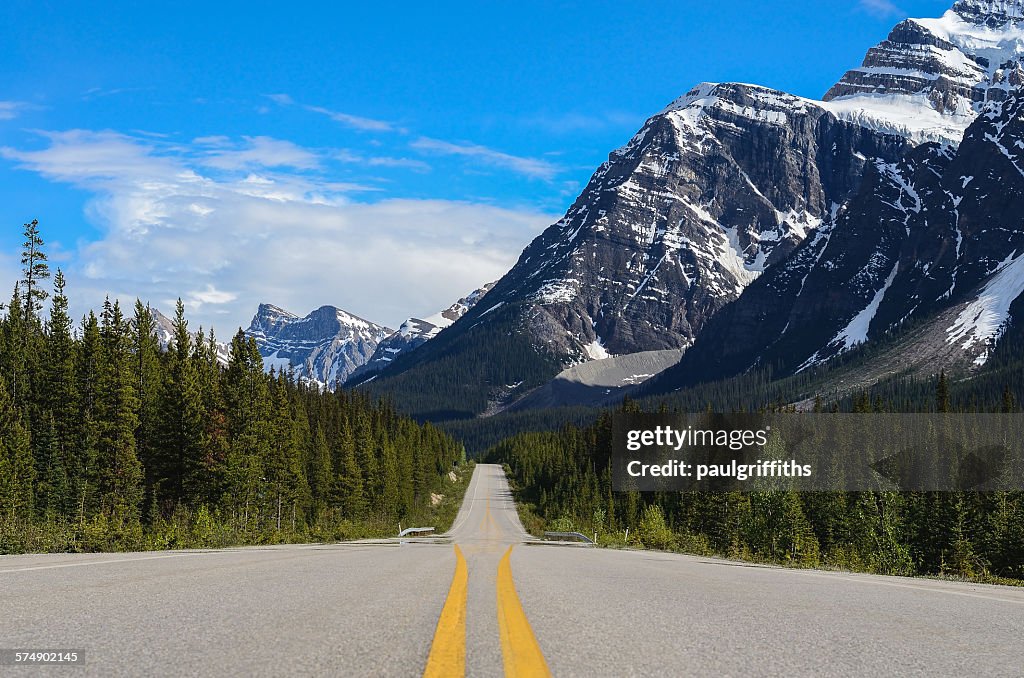 Empty road, Jasper National Park, Alberta, Canada