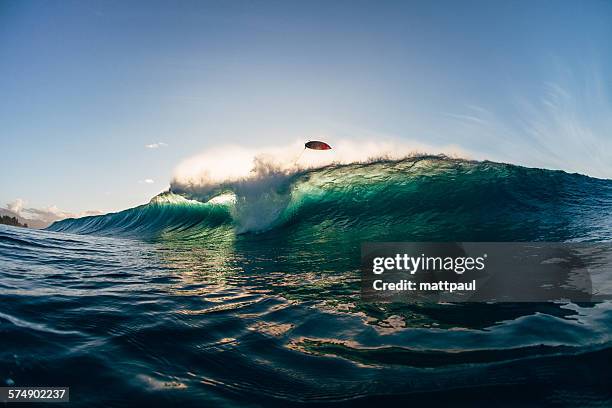 surfer wipeout at banzai pipeline, hawaii, usa - wipeout stock pictures, royalty-free photos & images