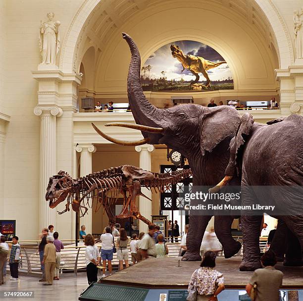 View of visitors at the Field Museum's Stanley Field Hall looking at the elephants and the mounted skeleton of Sue, Tyrannosaurus Rex, in Chicago,...