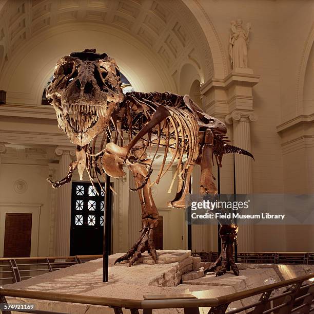 Front view of the completed and mounted fossil skeleton of Sue, a Tyrannosaurus Rex, at the Stanley Field Hall in the Field Museum, Chicago,...