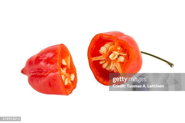 close-up of a red habanero cut in half - habanero stock pictures, royalty-free photos & images