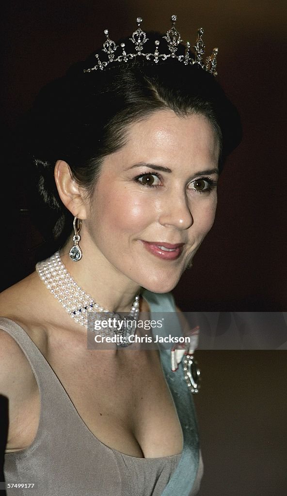 Princess Mary of Denmark arrives for the Gala Dinner at Royal Palace ...
