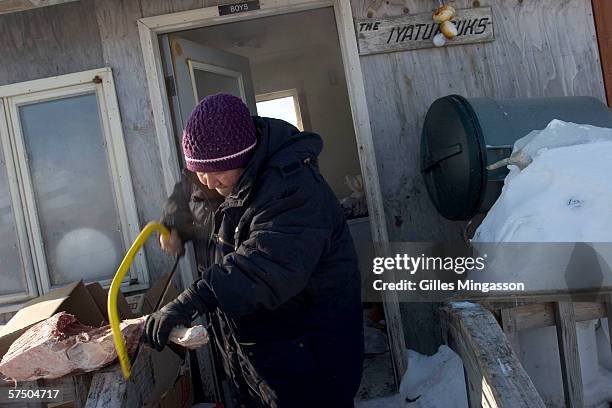 An Inupiat Eskimo woman uses a metal saw to cut a piece of frozen cariboo meat, April 18, 2005 in Shishmaref, Alaska, USA. Located on the small...